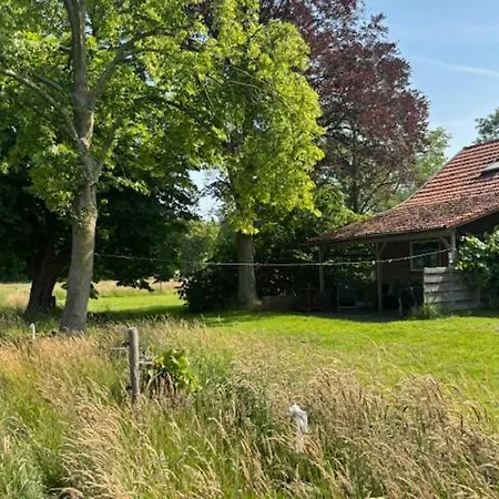 De Specht