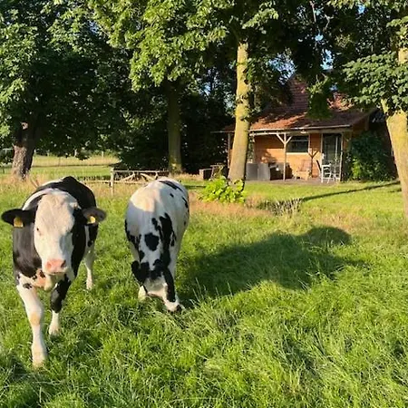 De Specht Holiday home