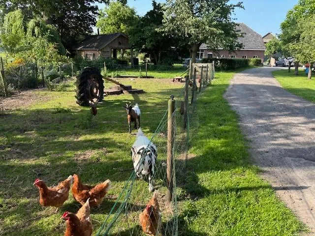 De Specht Vakantiehuis