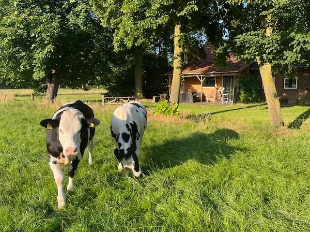 De Specht Vakantiehuis